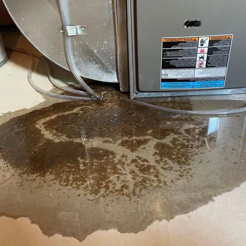 Pipe Burst and Leak Restoration in Chattahoochee County, GA