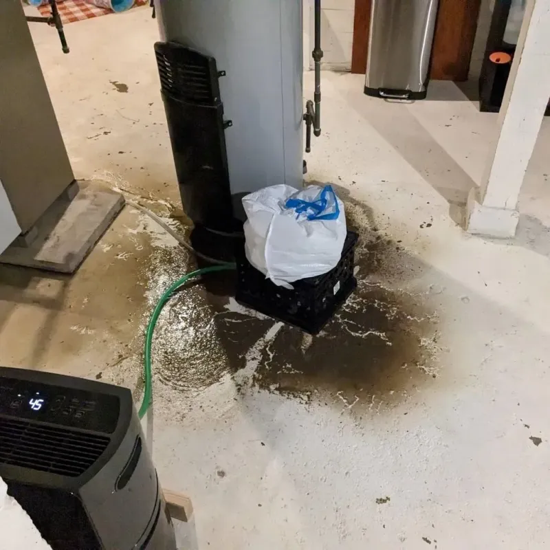 Sewage Backup Cleanup Service in Chattahoochee County, GA